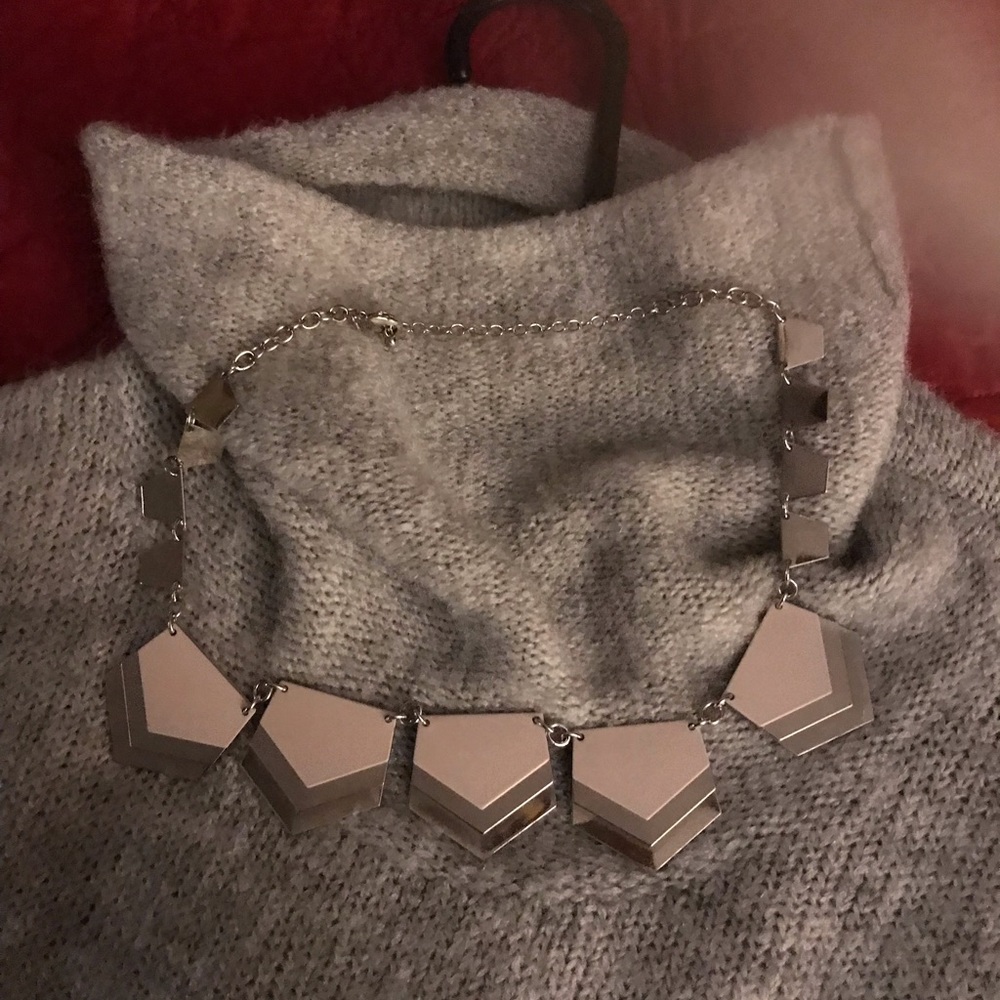 Express silver and taupe necklace